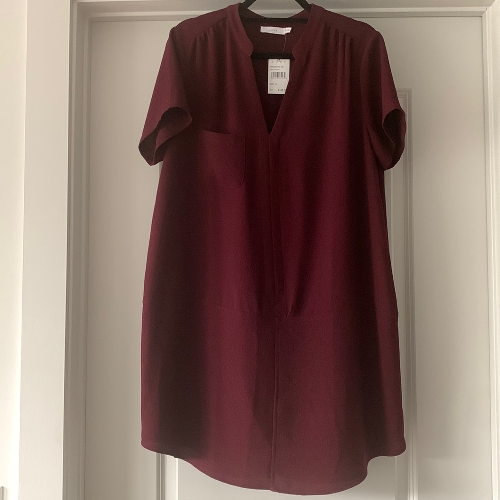 Lush Shift Dress